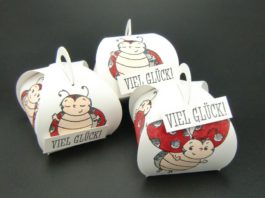 Kleines Dankeschön mit Marienkäfer